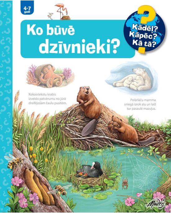 Ko būvē dzīvnieki? Kādēļ? Kāpēc? Kā tā?